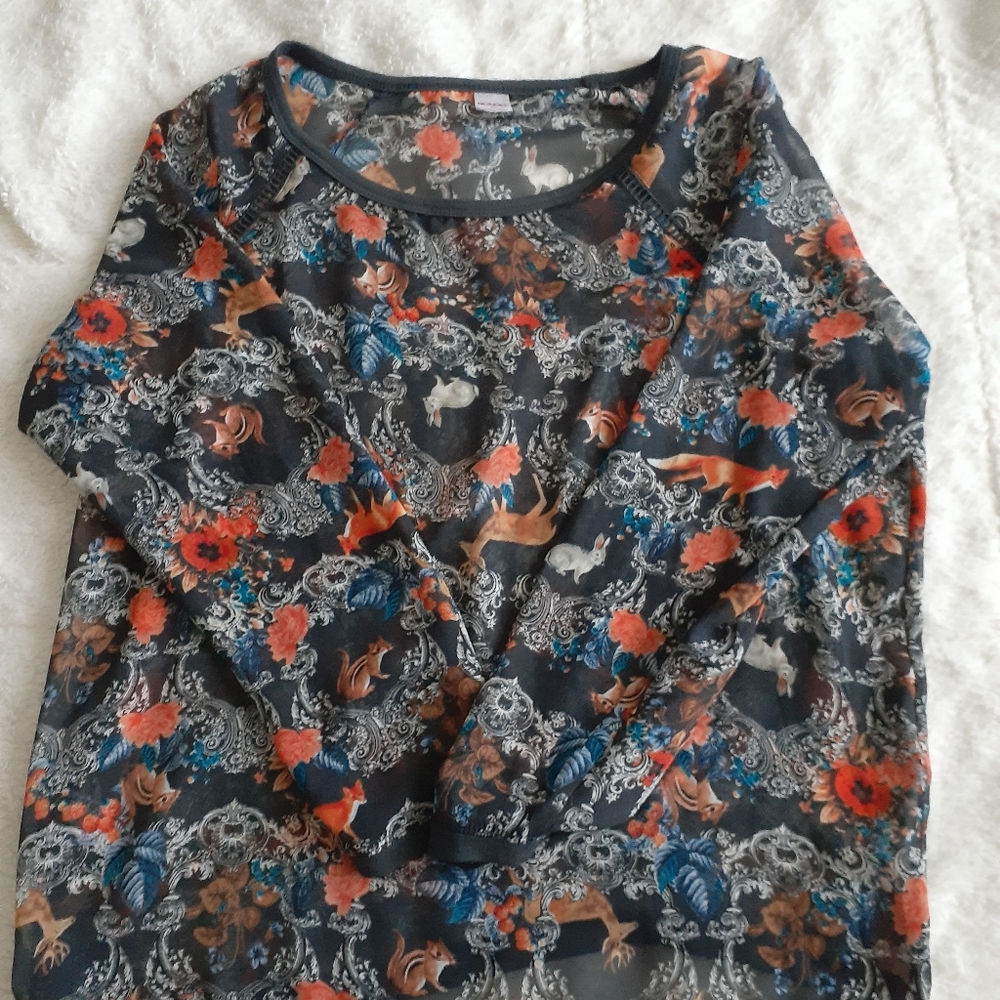 Long sleeve sheer shirt